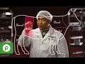 Meet Your Publix Meat Department Associate