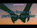 Andres Cepeda - Piel Canela ( Letra ) exitos