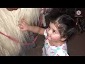 Horse riding in Riyadh Thumamah || Wafi was shocked || Desert Animal Camel || 4 wheels bike rack