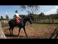 Download Lagu FULL PRACTICE WITH MY HORSES