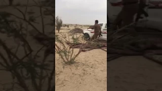 مشكله حصلت بين بني واهب شهران وآل جروا قحطان 