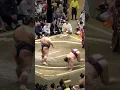 Download Lagu 4 EPIC Sumo Matches @ Tokyo Grand May Tournament #japan #travel #sumo #japantravel #travelvlog
