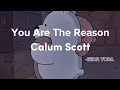 Download Lagu You Are The Reason - Calum Scott (slowed +reverb +lyrics)  #slowedreverb #youarethereason