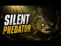 EVERYTHING You Need to Know about Walleye
