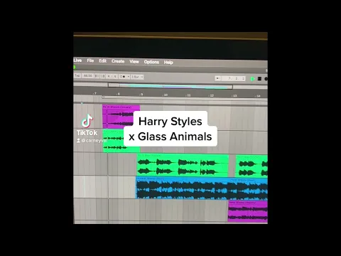 Download MP3 Harry Styles x Glass Animals (Carneyval Mashup)