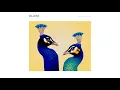 The Killers - Fire In Bone (Visualizer Video)
