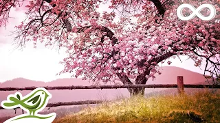 Relaxing Piano Music Romantic Music Beautiful Relaxing Music Sleep Music Stress Relief 122  Relaxing Piano Music Romantic Music Beautiful Relaxing Music Sleep Music Stress Relief 122