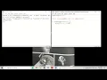 How to use If statements If Elif and Else and the input function in Python