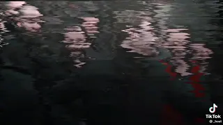 يحلى عمري باكمله دندنها