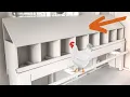9 Must-Have Chicken Coop Features
