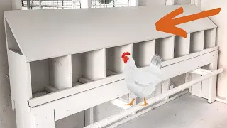 9 Must-Have Chicken Coop Features