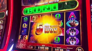 12 max bet bonus on Buffalo at Ballys Dover Delaware