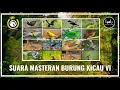 Download Lagu MASTERAN KOMBINASI SEMUA JENIS BURUNG KICAU MATERI LENGKAP PALING BANYAK DICARI TERBARU 2023