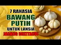 Lagu 7 Rahasia Bawang Putih Untuk KESEHATAN Lansia Yang Jarang Diketahui