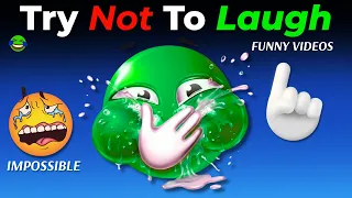 FUNNY VIDEOS π€£ Try Not To Laugh Challenge π (IMPOSSIBLE) - SPECIAL Memes & Fails Part 211!