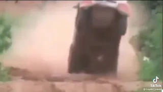 الرخ لا     دندنها