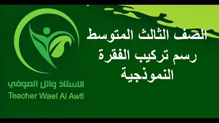 الاحياء الصف الثالث المتوسط خطوات رسم تركيب الفقرة النموذجية الفصل الثاني الجهاز الهيكلي 