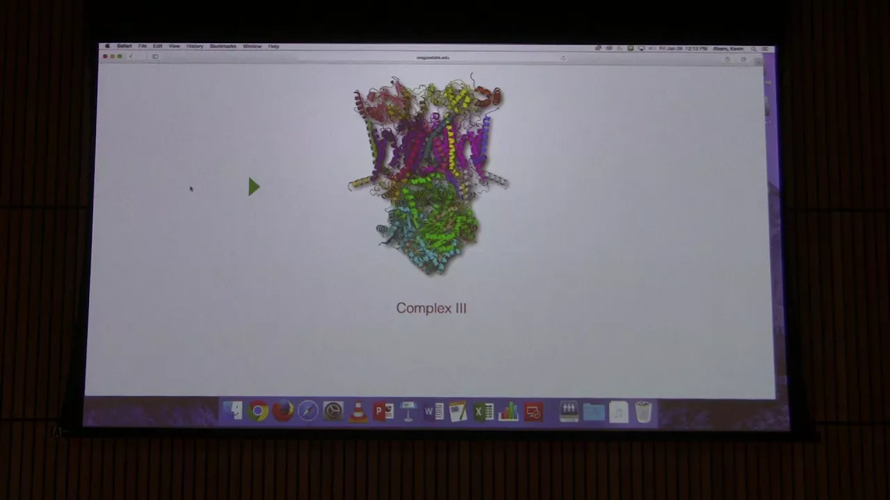 Lecture #36 Ahern's BB 451 - ETS & Oxidative Phosphorylation