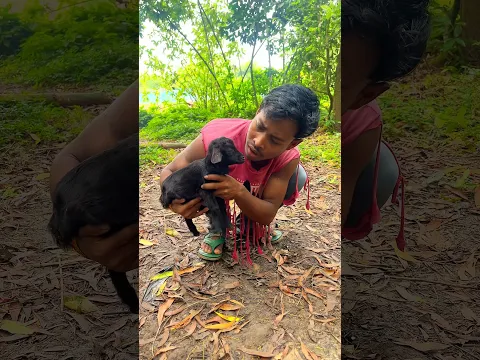 ছাগল হয়ে গেল বন্ধু  🥹😱 #minivlog #vlog