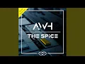 The Spice (André Wildenhues Acid Mix)