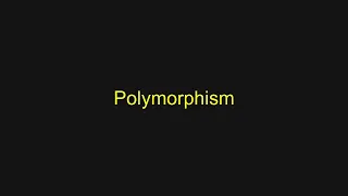 Python Tutorial - Polymorphism