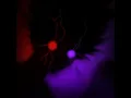 Download Lagu The Automotivo Infernal 1.0 - Purple [Ultra Slowed + Reverbed]