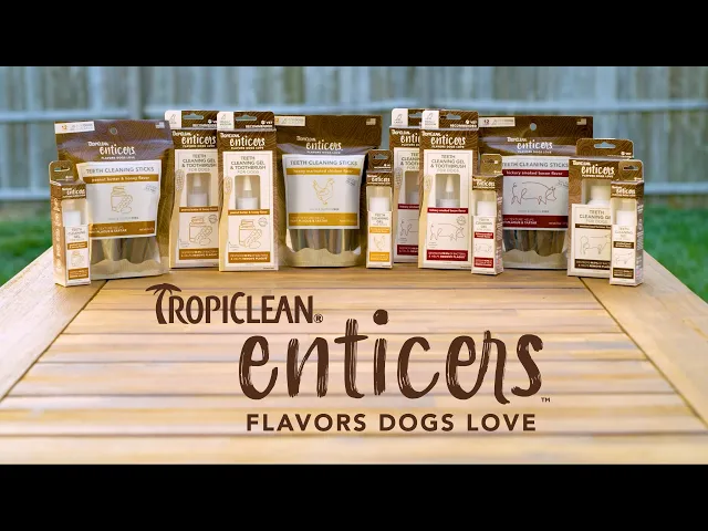 TropiClean Enticers Teeth Cleaning Gel for Dogs 59mL