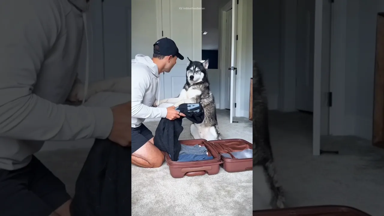 #bts