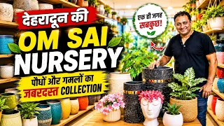 देहरादून की Om Sai Nursery में पौधों और गमलों का जबरदस्त Collection Om sai Nursery Dehradun