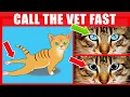 Download Lagu If Your Cat Does This, IMMEDIATELY Call The Vet (16 Signs Your Cat Needs Urgent Help) MP3