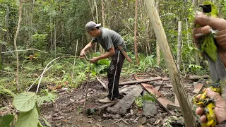 PAKAI SUARA BURUNG RIBUT ANDALAN || POIN CUCAK IJO_LINCANG 2 DAN BURUNG KECIL