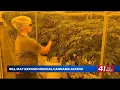 Georgia lawmakers approve Senate Bill 220 to expand medical cannabis options for patients