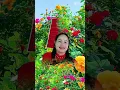 Download Lagu Phong Sju đối đáp Tình nghĩa Bắc nam Em Nông Chọi \u0026Anh Bế Toàn TH