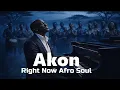 Lagu Akon – Right Now (Na Na Na) | Afro Soul Cover | Emotional Live Vibe