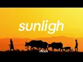 Lagu sunlight - official moon | lyric song and audio