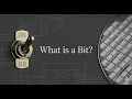 What is a Bit Deep Dive into Binary Memory Layout Devlog