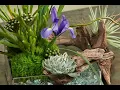 Episode 111 The Art of Flowers - J Schwanke s Life in Bloom 1080p