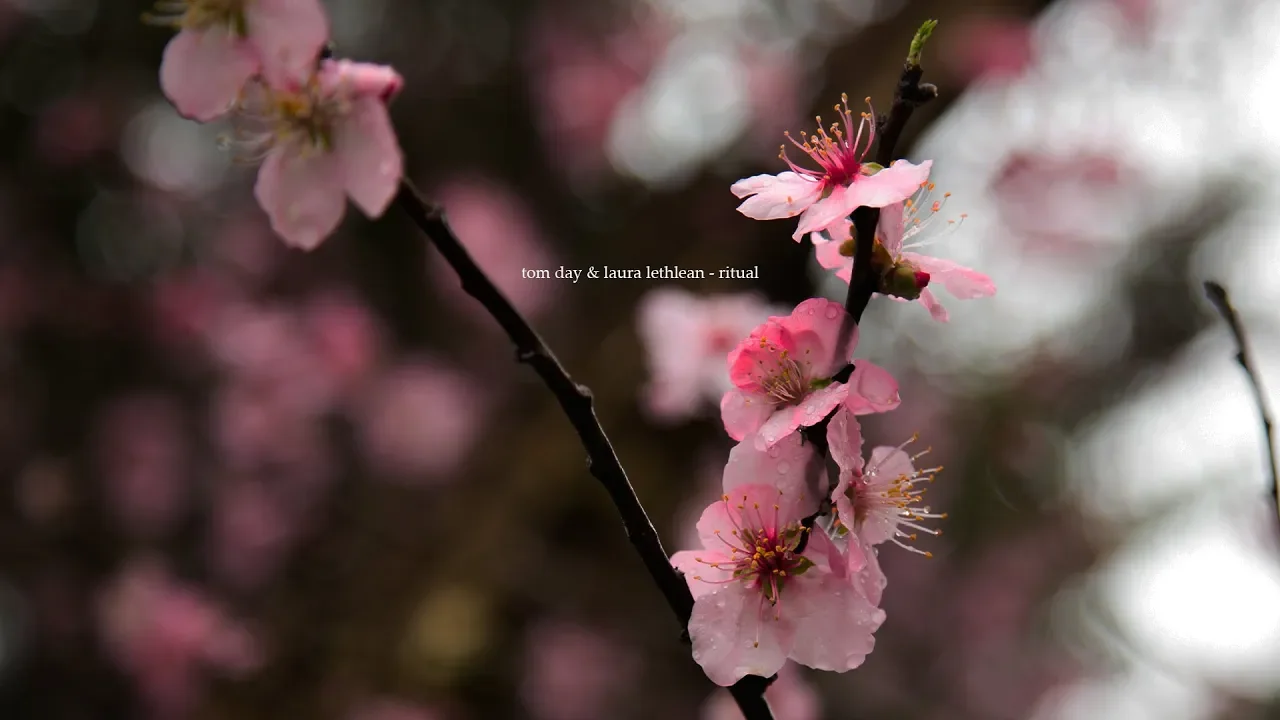 Tom Day & Laura Lethlean - Ritual