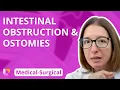 Gastrointestinal System Intestinal Obstruction Ostomies - Medical-Surgical GI LevelUpRN