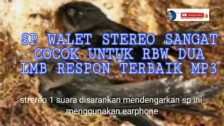 Download Sp walet stereo satu suara sangat cocok untuk rbw dua lmb respon terbaik MP3