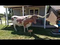 10 Best Things to Do in Abilene