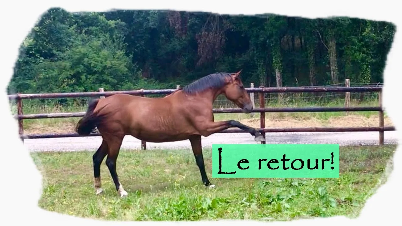 🌀 Les filles rentrent à la maison! 😍