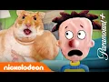 Download Lagu Big Nate Gets ATTACKED By A Giant Hamster 🐹 | Nicktoons