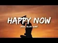 Download Lagu Zedd, Elley Duhé - Happy Now (Lyrics)