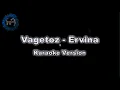 Download Lagu Vagetoz - Ervina (Karaoke Version by QraOke)