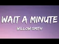 Download Lagu Willow Smith - Wait a Minute! (TikTok remix/speed up) (Lyrics)