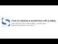 How to capture a delayed screenshot with FireShot