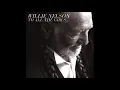 Willie Nelson - Somewhere Between (2013)
