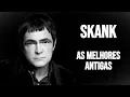 Download Lagu Skank As Melhores Antigas