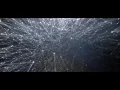 Plexus Logo Reveal After Effects Template